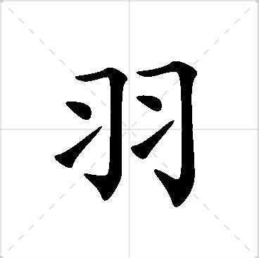 羽 名字|「羽」から始まる名字